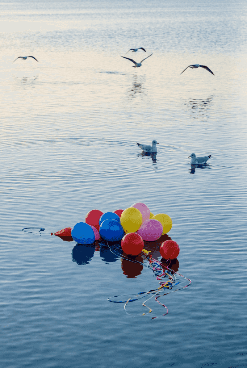 Meeresschildkröte durch Ballonabfall im Ozean bedroht
